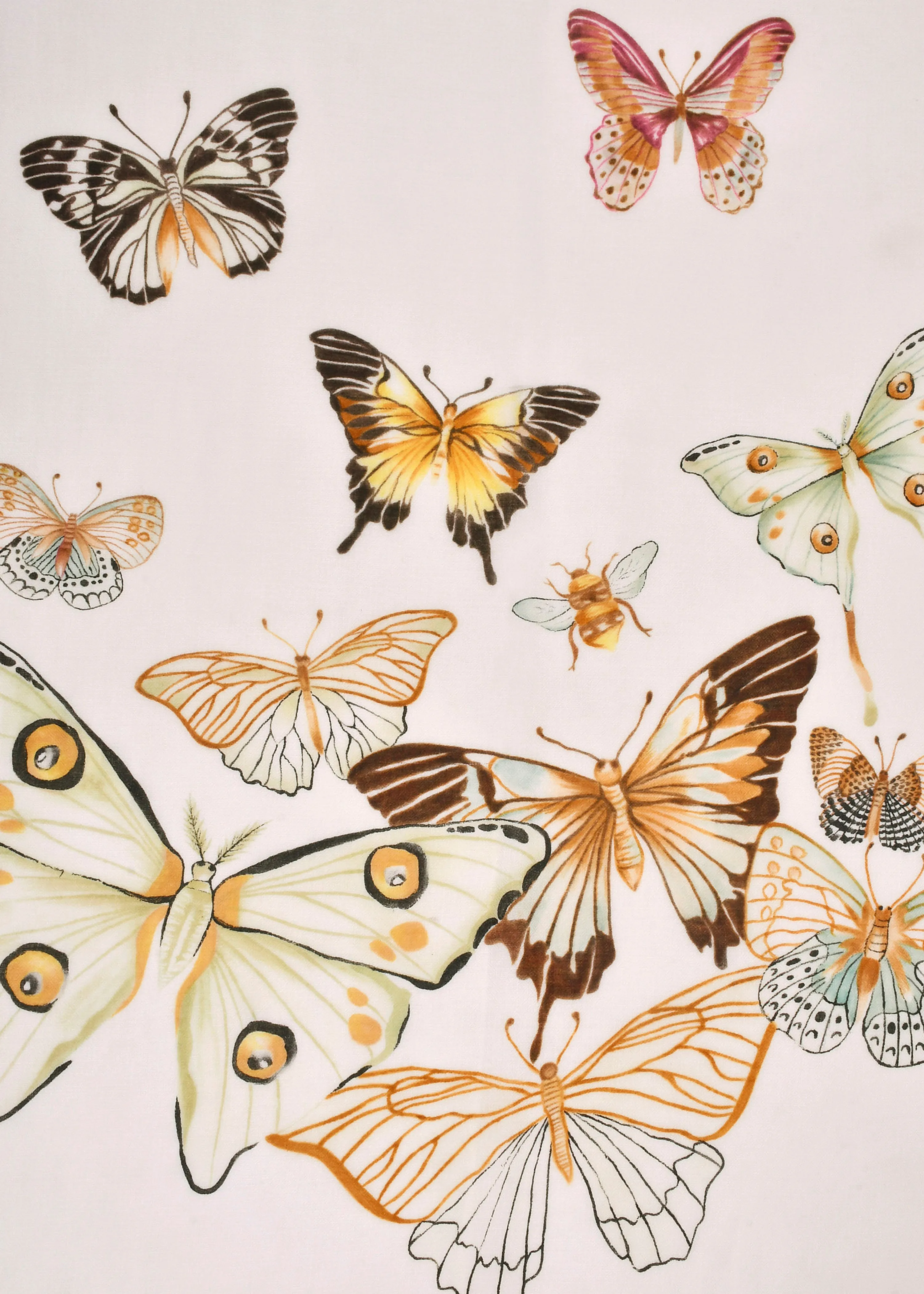 Butterflies in Cashmere
